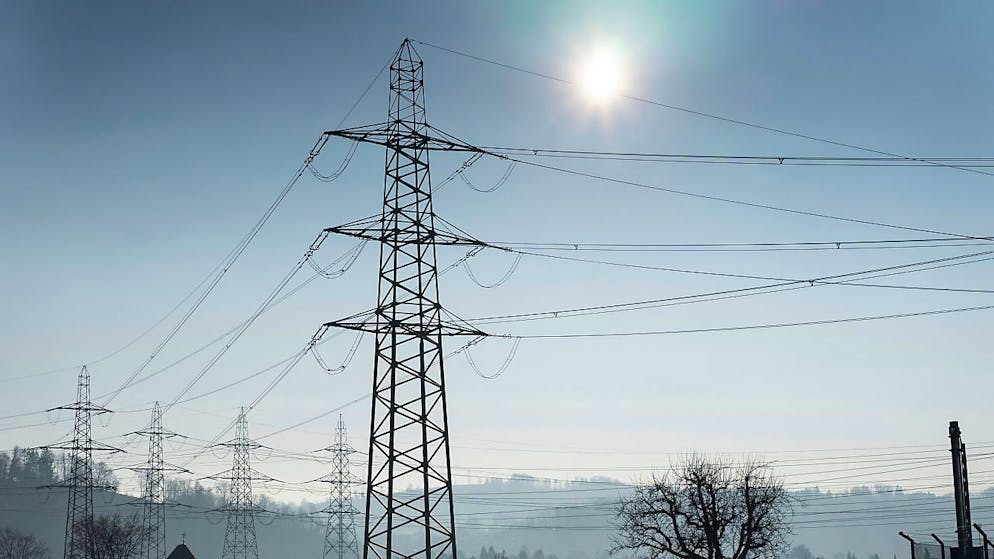 Il gestore della rete elettrica nazionale ha chiuso l'anno con un utile di 100 milioni di franchi.