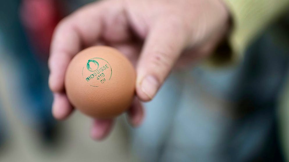 Die städtischen Verpflegungsbetriebe sollen mehr nachhaltige Lebensmittel servieren. Der Zürcher Stadtrat hat für die Beschaffung neue Standards festgelegt. (Symbolbild)