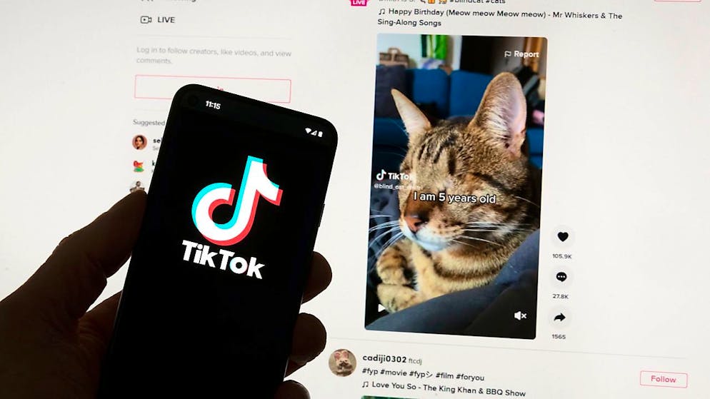 TikTok dispose du "programme de récompenses", qui permet aux utilisateurs de gagner des points en effectuant certaines "tâches" sur le réseau social, telles que regarder des vidéos. (archives)