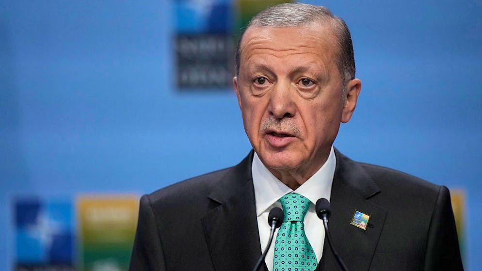 ARCHIV - Recep Tayyip Erdogan, Präsident der Türkei, spricht auf einer Veranstaltung am Rande eines Nato-Gipfels. Foto: Pavel Golovkin/AP/dpa