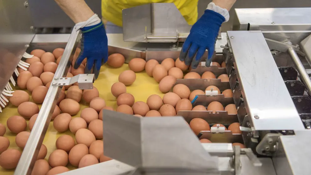 È guerra dei prezzi?. Coop ha una linea biologica a buon mercato, gli agricoltori svizzeri sono preoccupati