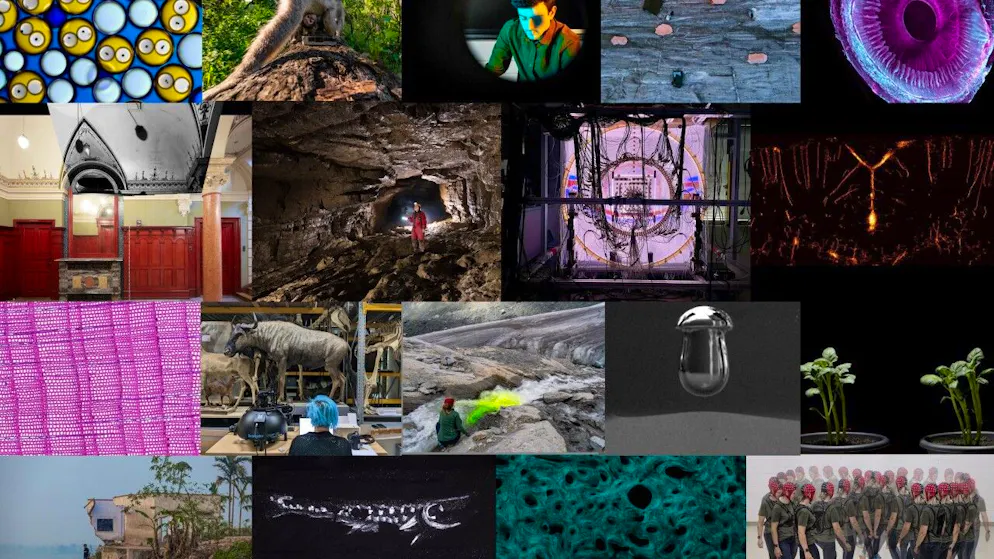 Die 18 prämierten Bilder des SNF-Wettbewerbs für wissenschaftliche Bilder 2024.