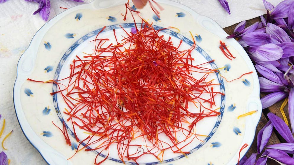 Safran ist wertvoll. Eine Person streckte ihr Gewürz mit Farbstoffen, um noch besser zu verdienen. Das Kantonale Labor Zürich überführte sie. (Symbolbild)