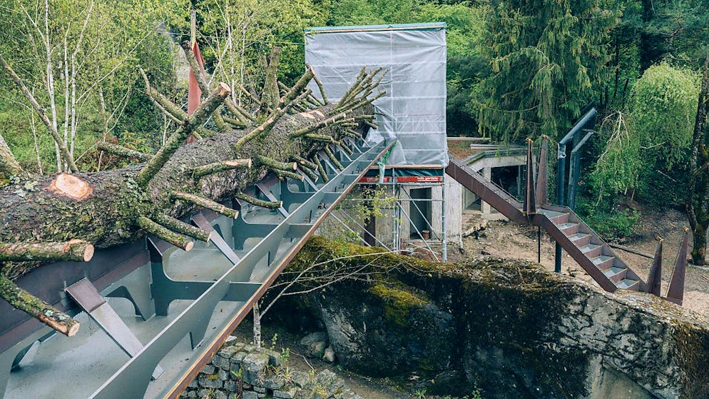 Die Raubkatzen des Zürcher Zoos werden künftig über diesen Steg in neue Anlageteile gelangen können. Der Catwalk führt in 4,5 Metern Höhe über die Köpfe der Besuchenden hinweg.