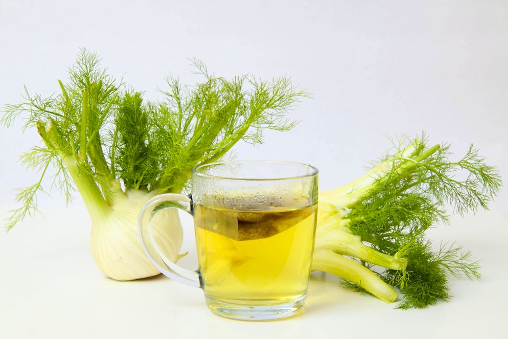 Wie problematisch ist Fencheltee für die Gesundheit?