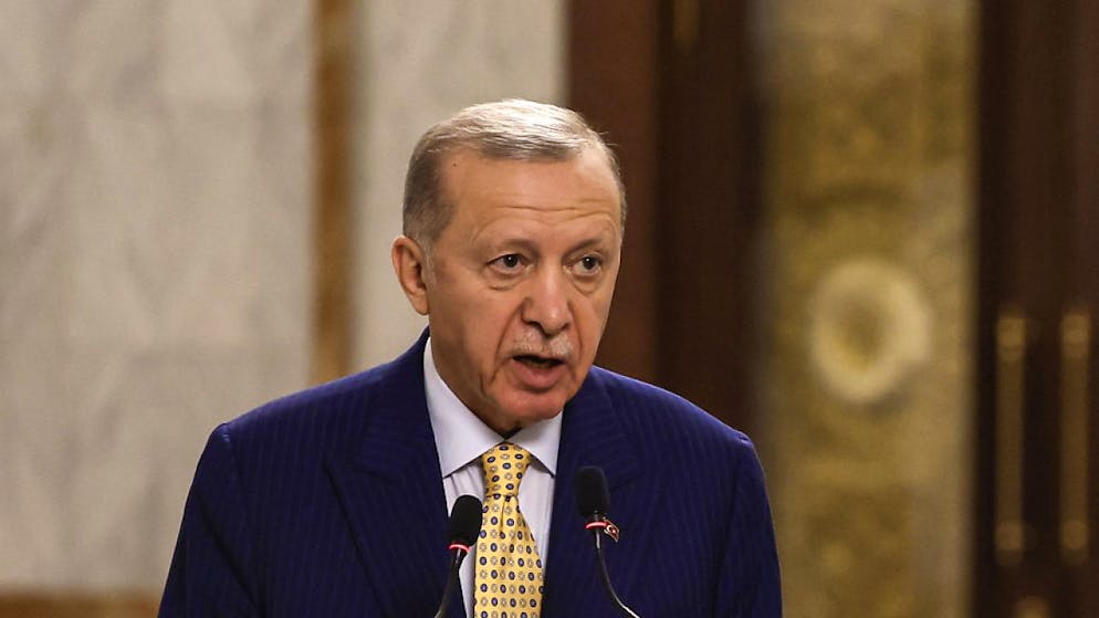 Medio Oriente. Erdogan: «Netanyahu assassino, è il macellaio di Gaza»