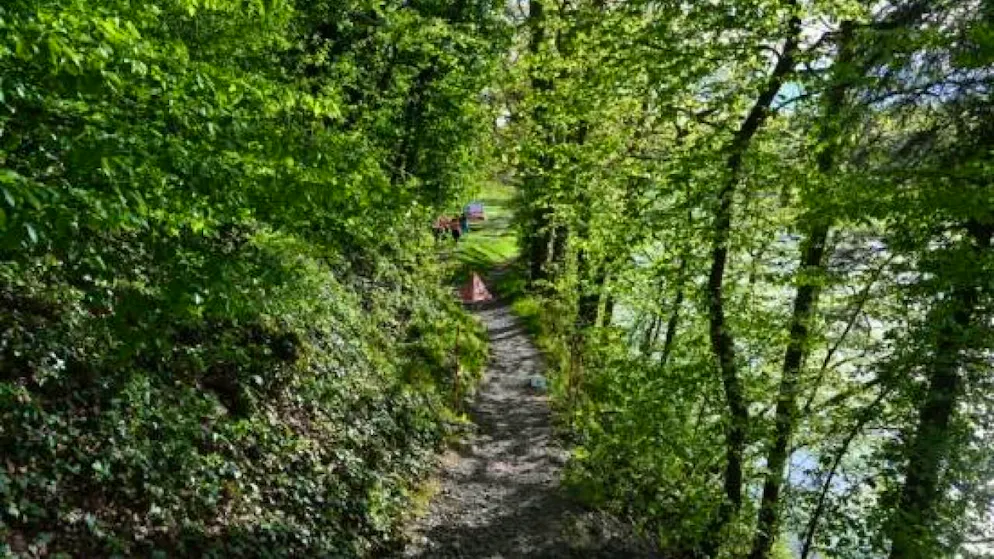 Ein E-Mountainbike-Fahrer stürzt bei Ellikon am Rhein ins Wasser und wird dabei schwer verletzt.