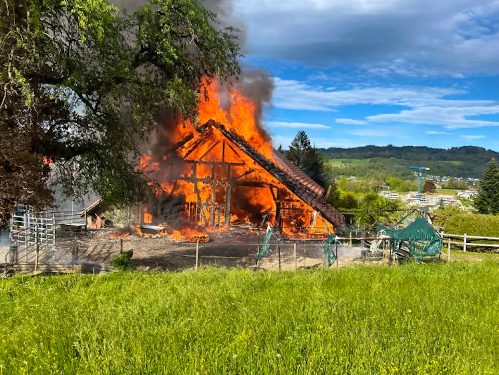Das Bauernhaus fiel einem Vollbrand zum Opfer.