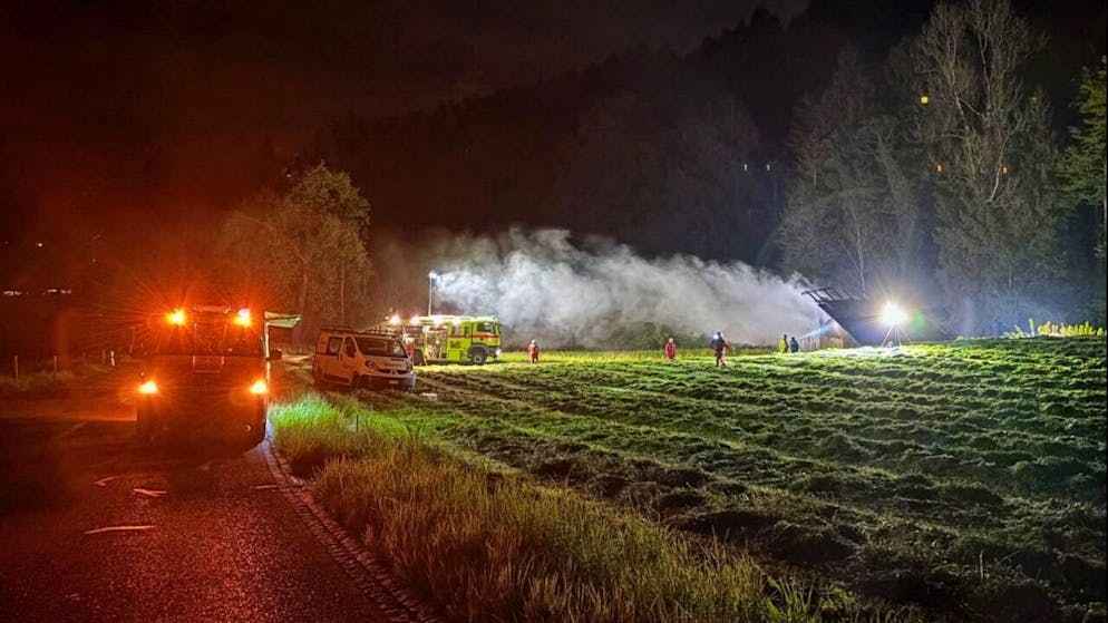 Wegen des Schopfbrandes zogen Rauchschwaden über das angrenzende Feld.