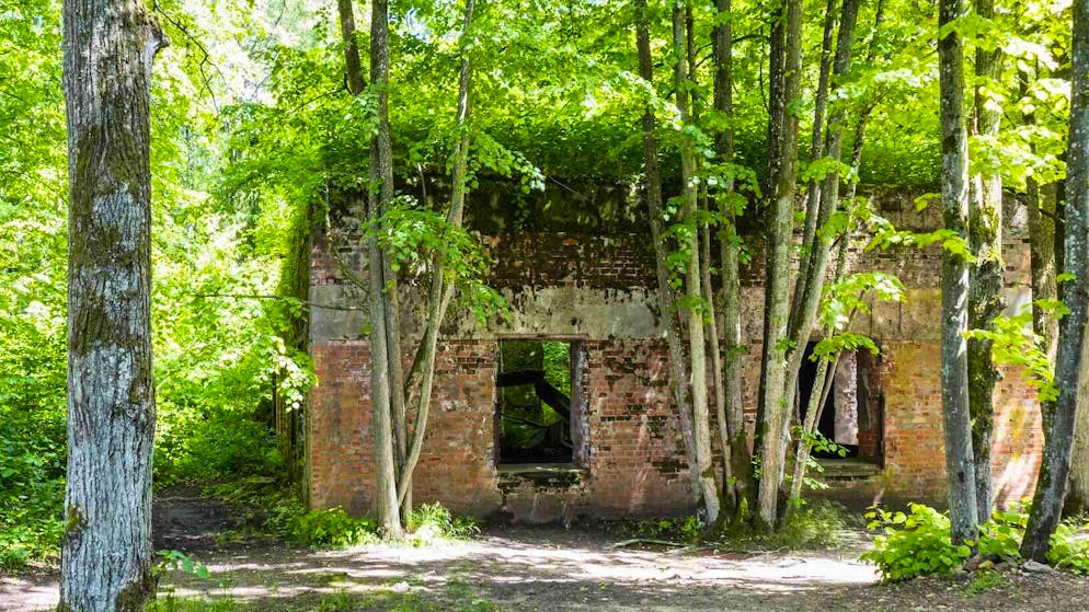 Ohne Hände und Füsse. Forscher finden Skelette in Haus von Hermann Göring