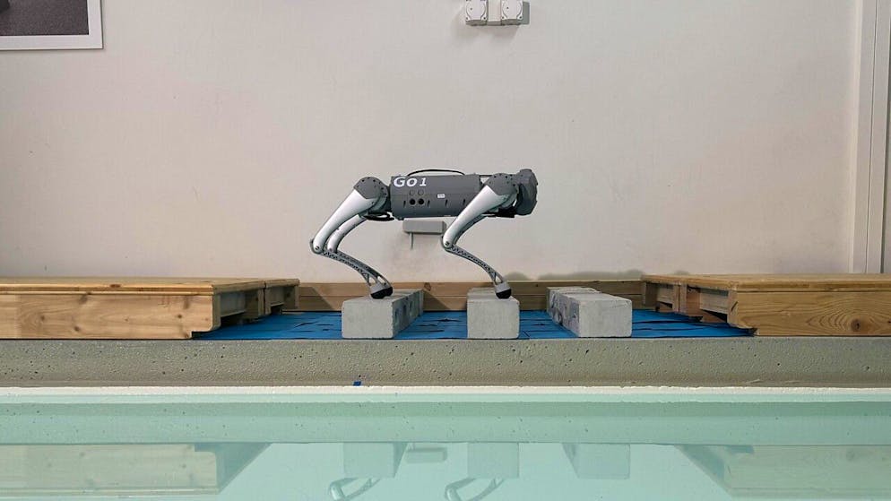 Der Roboter "Biorob" der EPFL-Forschenden kann über Balken springen.