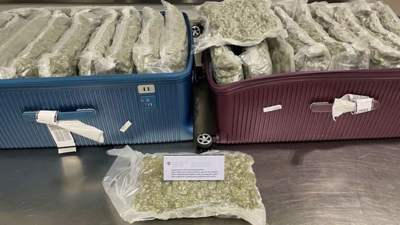 Drogenhandel. Passagier am Flughafen Zürich hat 24 Kilo Marihuana im Gepäck