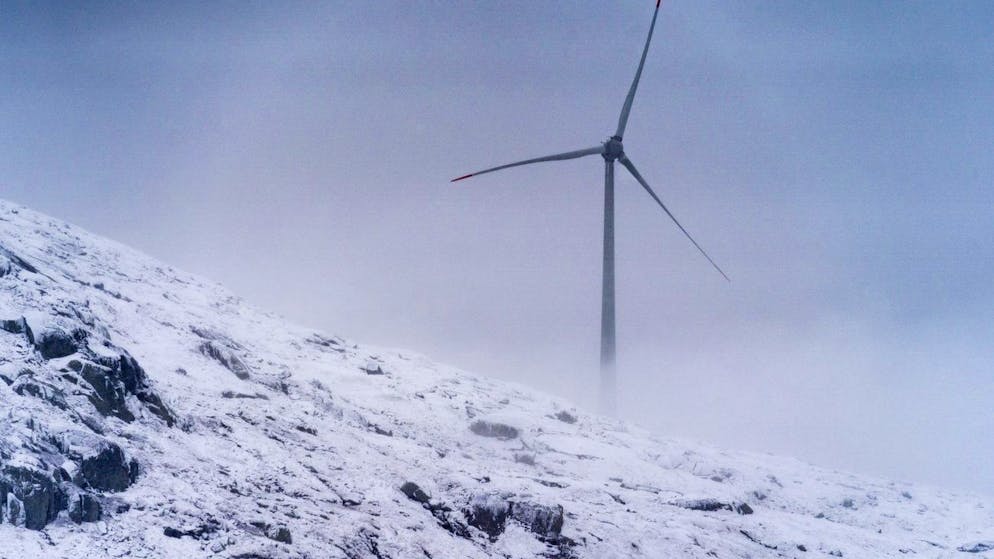 Windkraft-Anlage am Gotthard. Biologe findet 69 tote Vögel unter Windturbine