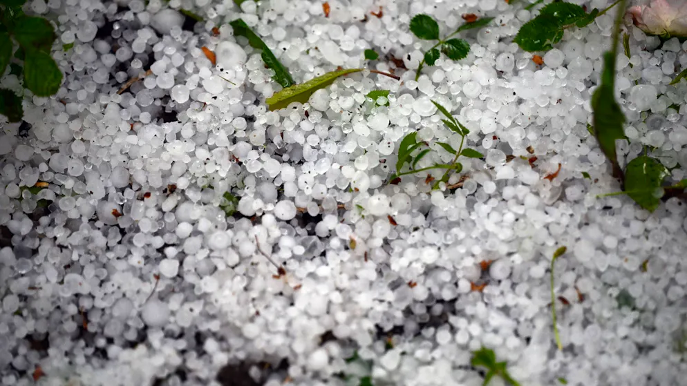 Schäden nach Starkregen und Gewittern - Gallery. Am Nachmittag zogen erste schwere Gewitter mit kräftigem Regen - und teils auch mit Hagel - über das Land.