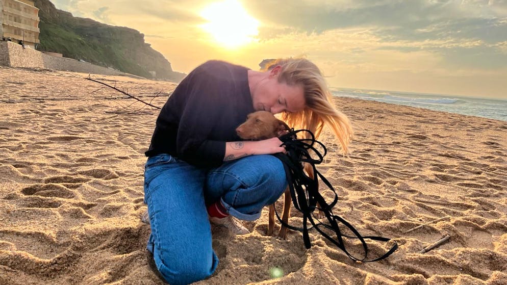 Kolumne. Hunde sind wie Kinder – oder doch nicht?