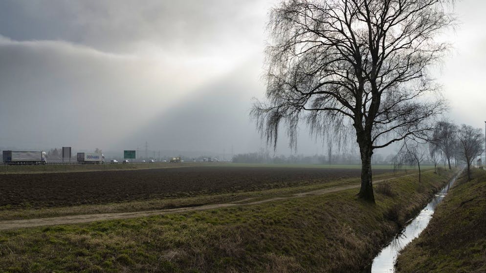 Der begradigte Bipperbach in Oensingen im Kanon Solothurn: Um die Schweizer Bäche ist es laut einer Studie schlecht bestellt.