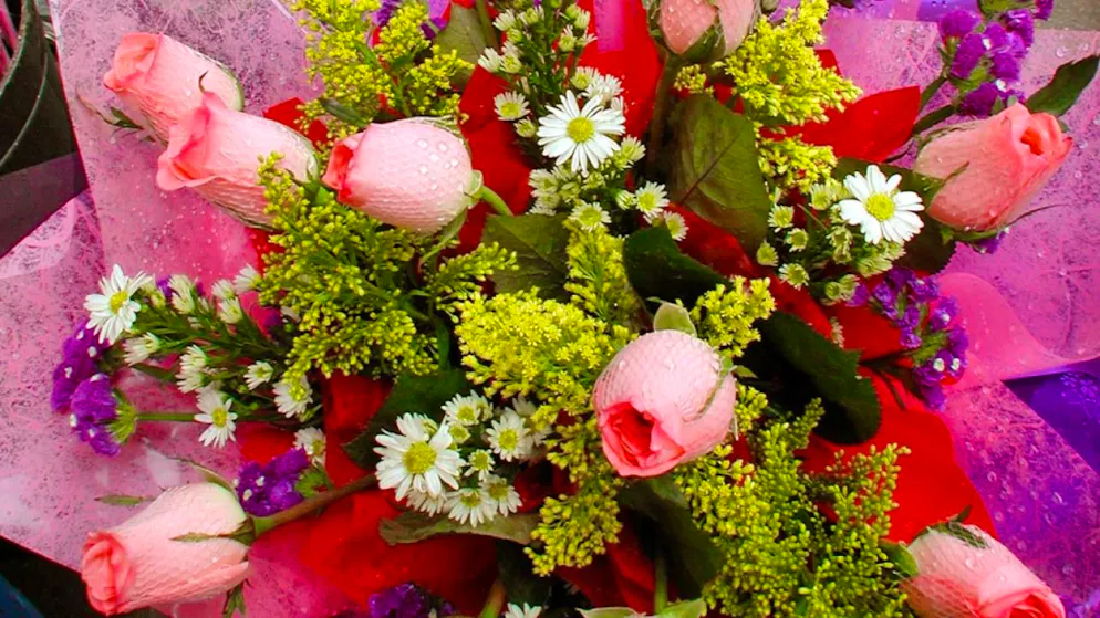 Blumen-Grosshändler rechnen zu Muttertag mit einem Umsatz in Millionenhöhe. (Symbolbild)