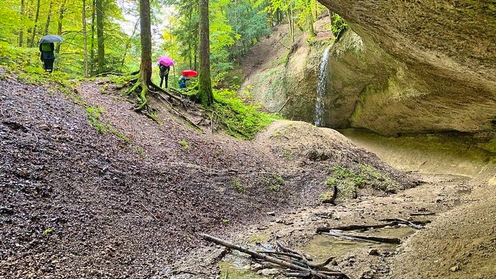 «Wenn ich grad eine Region benennen müsste, die mich speziell begeistert, dann ist es das Züri Oberland»: Thomas Widmer.