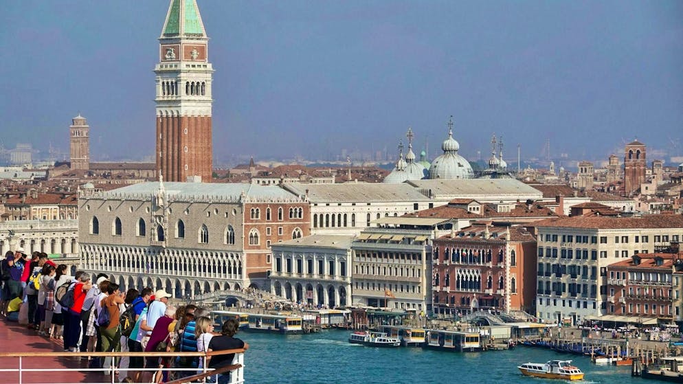 Spettacolari immagini. Il delfino Mimmo incanta Venezia tra le barche del Canal Grande