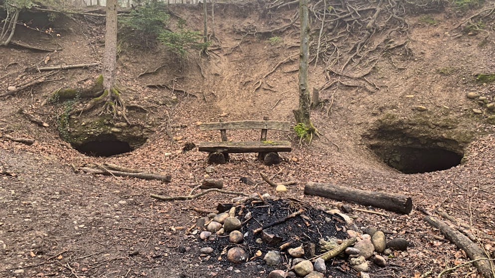 «Hey, Federers, fahrt einmal nach Brugg und steigt auf den Bruggerberg. Dort findet ihr an einem Waldbord die Bananenhöhle»: Thomas Widmer.