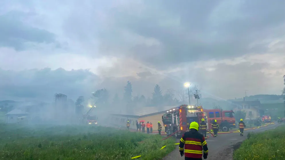 Zwei Ställe mit insgesamt 1500 Schweinen standen teilweise in Vollbrand.