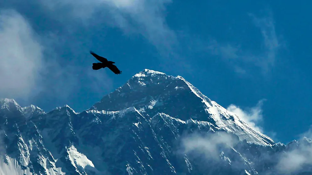 ARCHIV - Ein Vogel fliegt vor dem Mount Everest in Nepal. Foto: Niranjan Shrestha/AP/dpa