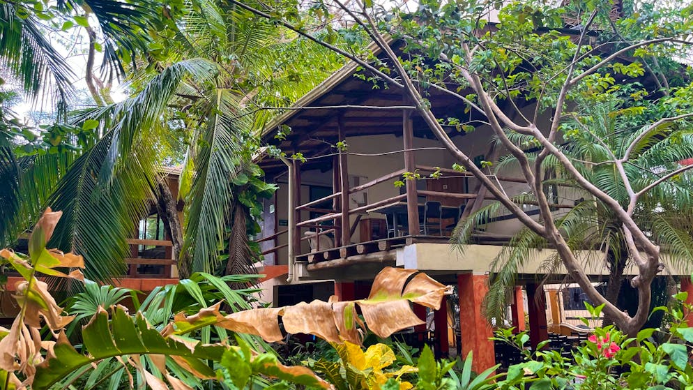 Il grigionese Reto Patt vive in Costa Rica da 30 anni. Oggi Wayra è cresciuta e tiene testa a concorrenti importanti come EF.