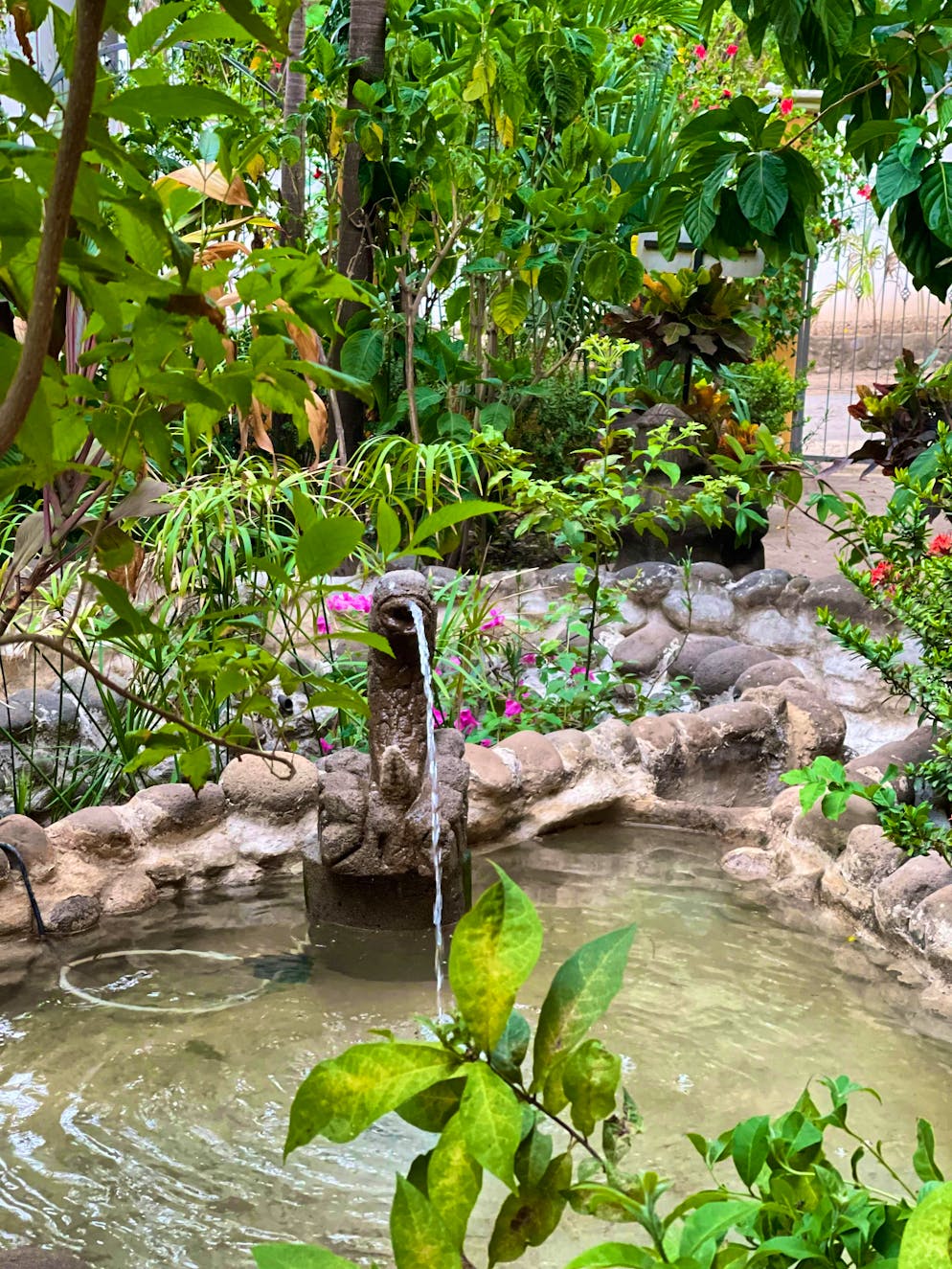 Il grigionese Reto Patt vive in Costa Rica da 30 anni. Una fontana nel cortile interno.