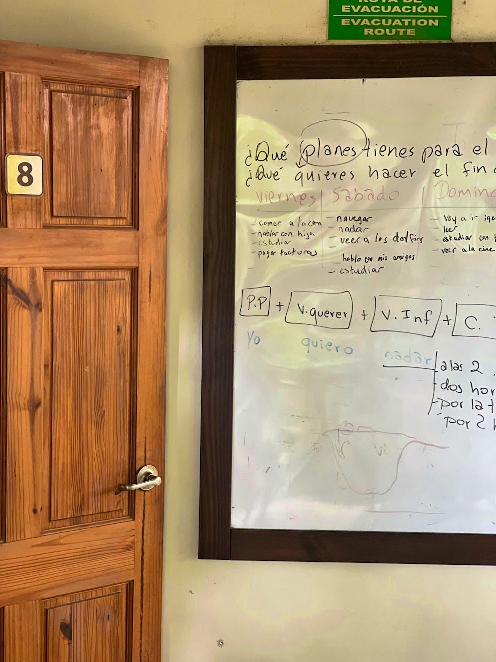 Il grigionese Reto Patt vive in Costa Rica da 30 anni. La pandemia ha posto la coppia di fronte a grandi sfide, perché all'improvviso non c'erano più studenti.