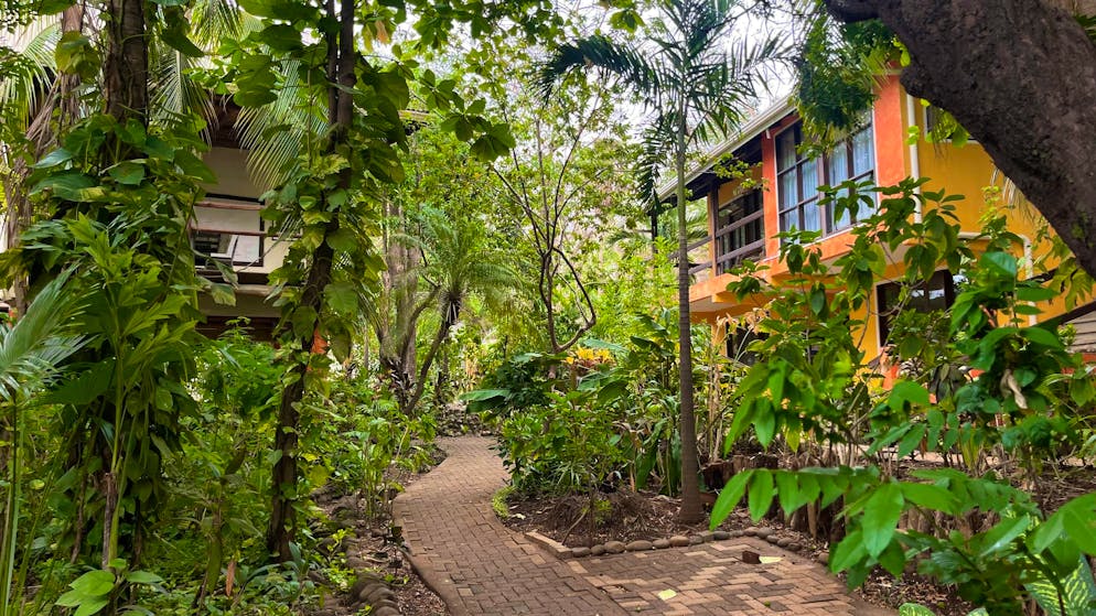 Il grigionese Reto Patt vive in Costa Rica da 30 anni. Per la coppia era importante mantenere il cortile il più vicino possibile alla natura. Per questo hanno costruito intorno agli alberi.