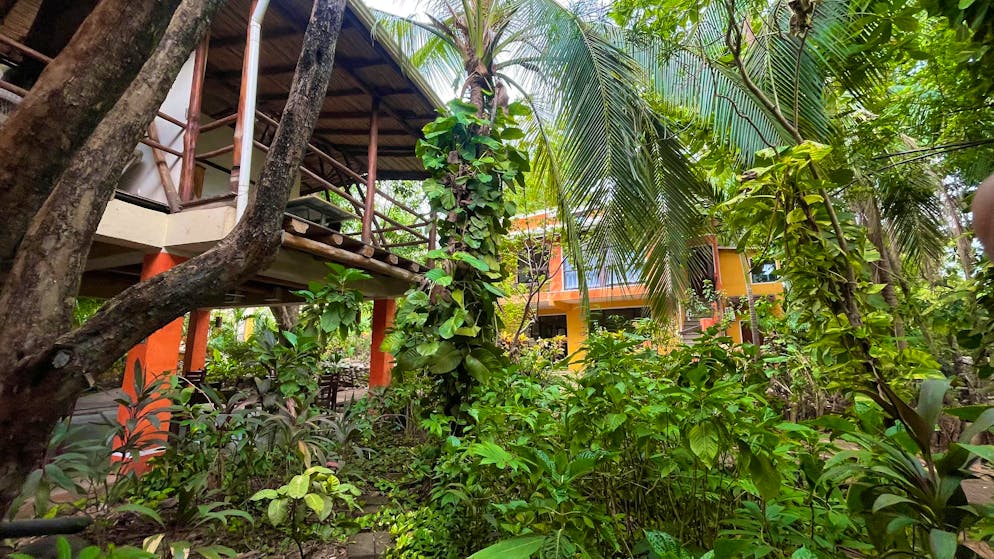 Il grigionese Reto Patt vive in Costa Rica da 30 anni. Il parco della scuola è come un'oasi in una città sempre più trafficata.