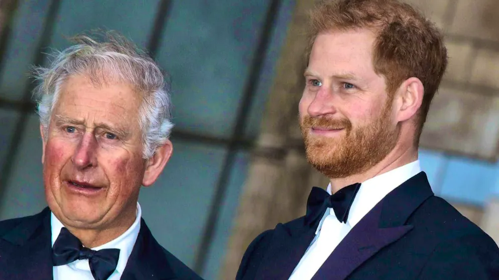 Nuovi sviluppi. Il principe Harry avrebbe rifiutato un invito di Carlo, ecco perché