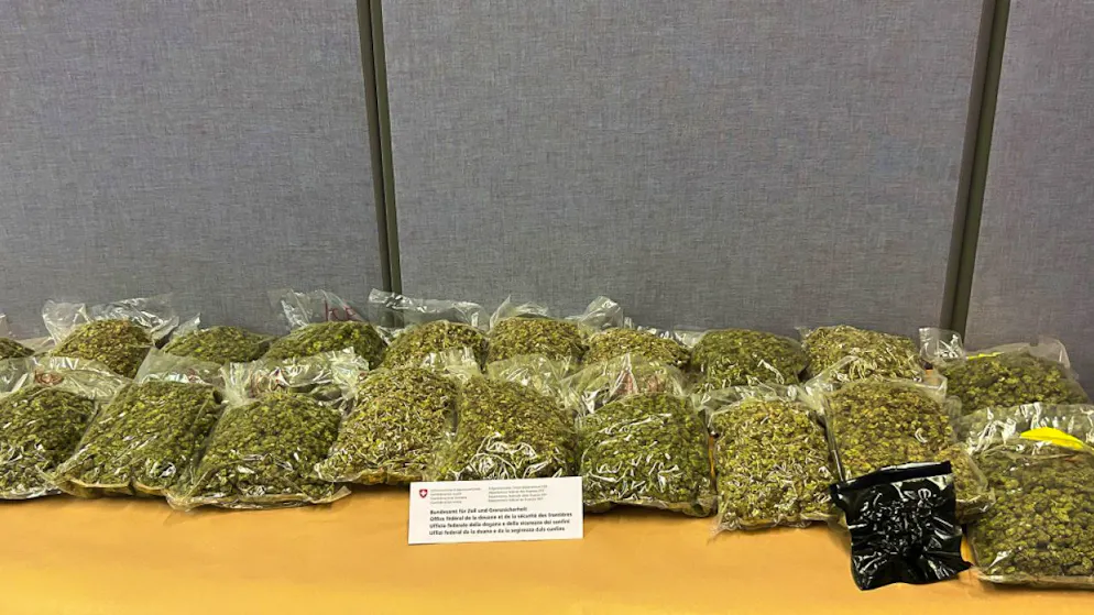 Insgesamt fanden die Grenzwächter 10 Kilogramm Marihuana.