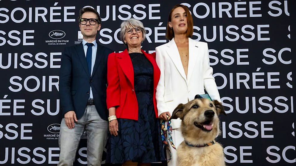 Festival de Cannes. Palm Dog pour Kodi, star à quatre pattes du «Procès du chien»
