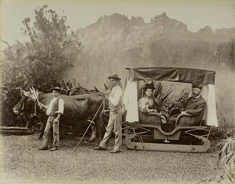 Immanuel Friedländer: Wer lebt hier denn so gefährlich?. …  und etliche Alltagsszenen, wie hier auf Madeira. Für Friedländer, der meist zu Fuss unterwegs war, dürfte diese Transportmethode mit einem Korbschlitten und Ochsengespann für einmal eine willkommene Abwechslung dargestellt haben (1924).