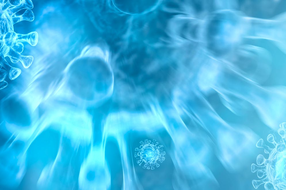 Deux nouveaux variants d'Omicron appelés «FLiRT» «échappent à l'immunité que nous avons acquise avec la vaccination et les infections antérieures» (illustration).