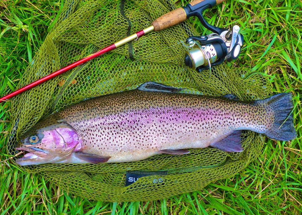 L'uomo ha abbandonato la sua attrezzatura da pesca mentre tornava a casa. (immagine simbolica)