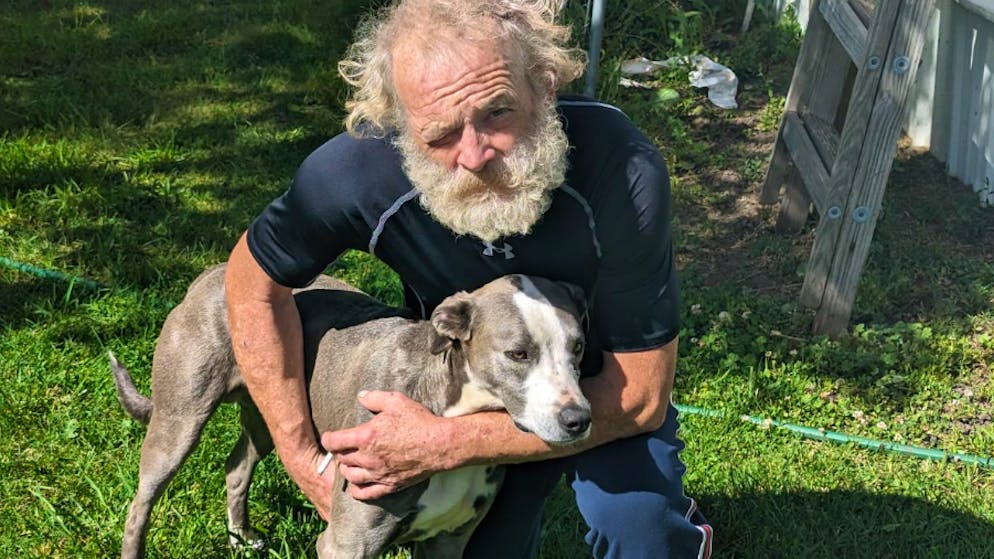 Tierischer Held. Hund rennt über 6 Kilometer, um Hilfe für Herrchen zu holen