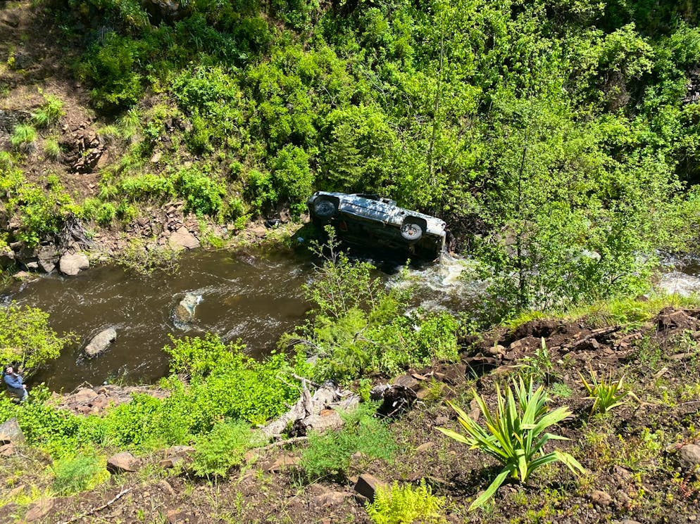 Dog saves owner's life - runs over 6 kilometers to get help.  The man's car drove off the road and ended up in the stream.