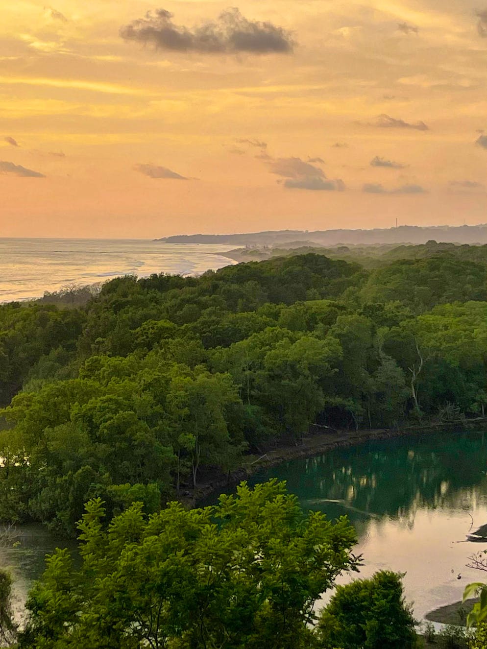 Le coste della Costa Rica sono frastagliate e selvagge, ma costeggiate da ricche foreste.