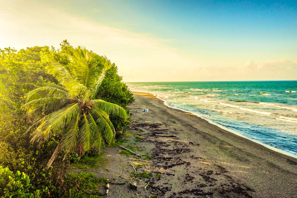 Costa Rica: il Parco nazionale del Tortuguero. Non è consigliabile fare il bagno a causa delle forti correnti e degli squali.