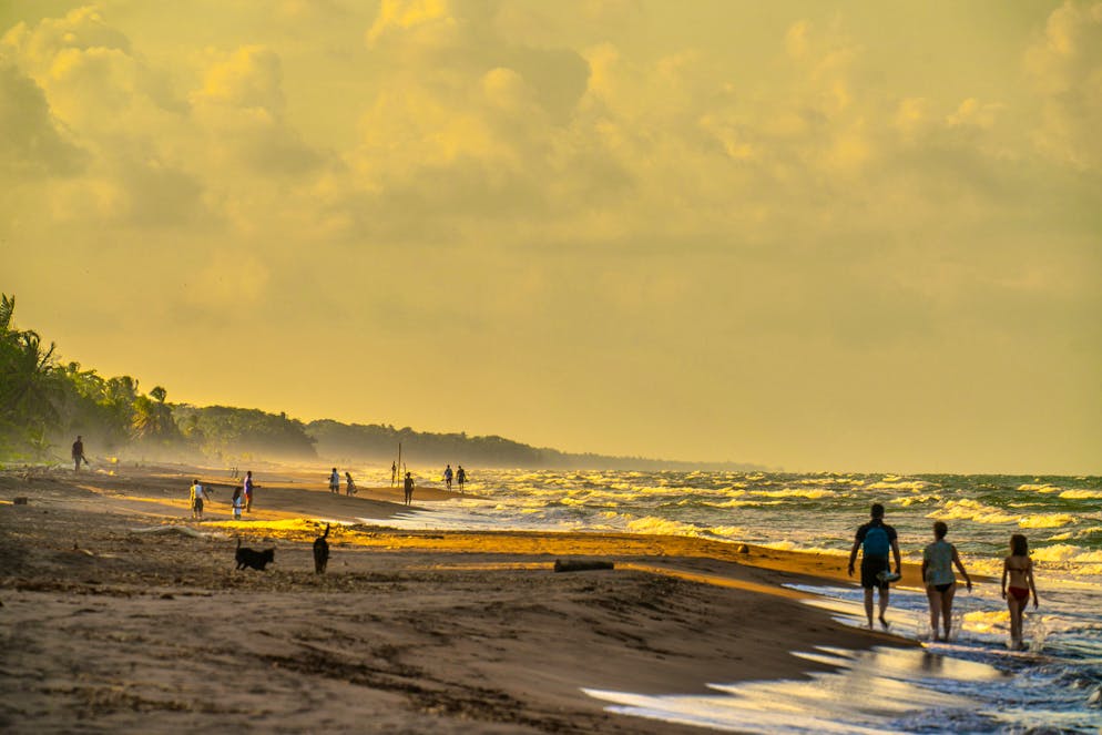 Costa Rica: il Parco nazionale del Tortuguero. La spiaggia di Tortuguero è selvaggia.