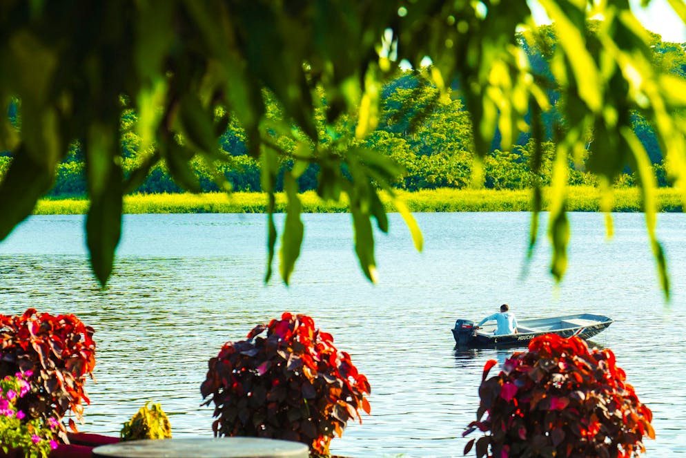 Costa Rica: il Parco nazionale del Tortuguero. Circa mezzo milione di turisti visitano il Parco Nazionale Tortuguero ogni anno.