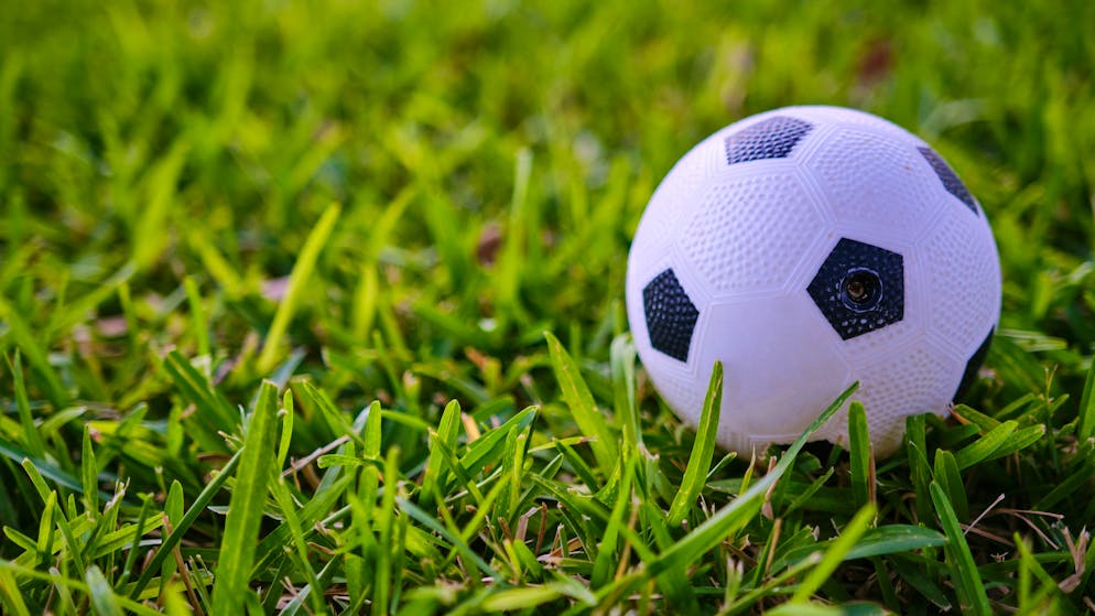 Streit im Thurgau endet vor Gericht. Mann holt Ball aus Garten von Nachbarin – 1100 Franken Strafe