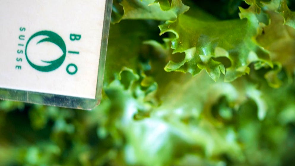 La quota di mercato di Bio Suisse lo scorso anno ha raggiunto l'11,6%, in lieve crescita rispetto al 2022.