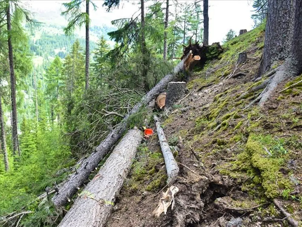 Il luogo dell'incidente dove ha perso la vita un selvicoltore 35 anni nei pressi di Scuol