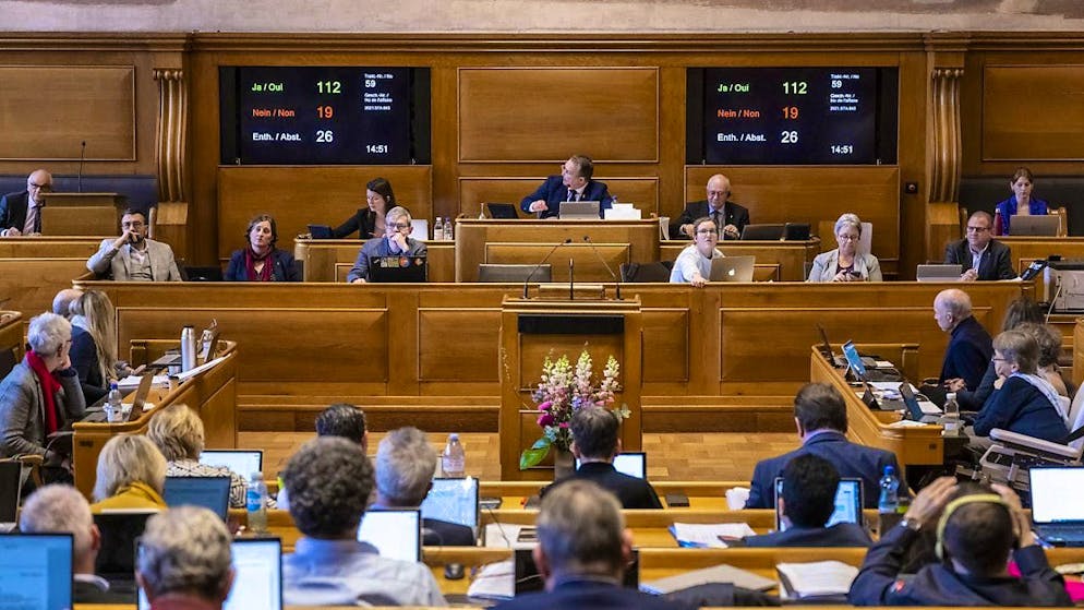 Due to various resignations, four new members are joining the Grand Council. (archive picture)