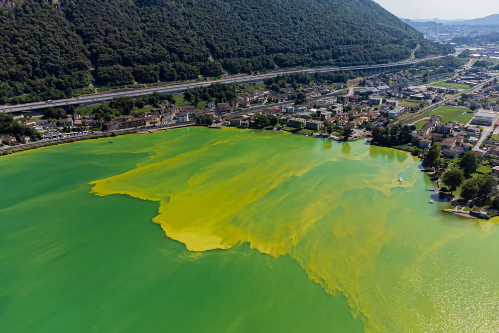 Una veduta aerea panoramica sul Lago Ceresio, nei pressi del Lido di Riva San Vitale e Capolago, dove nel 2023 la massiccia proliferazione dei cianobatteri ha fatto assumere alle acque una colorazione giallo verde. 