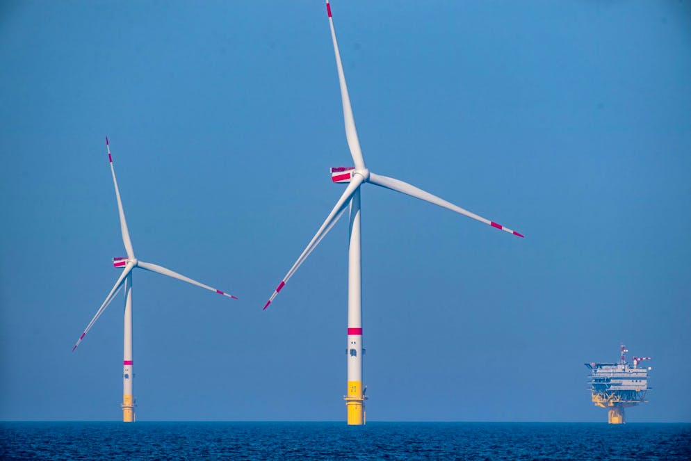 Polen will einen riesigen Wildpark in der Ostsee errichten.