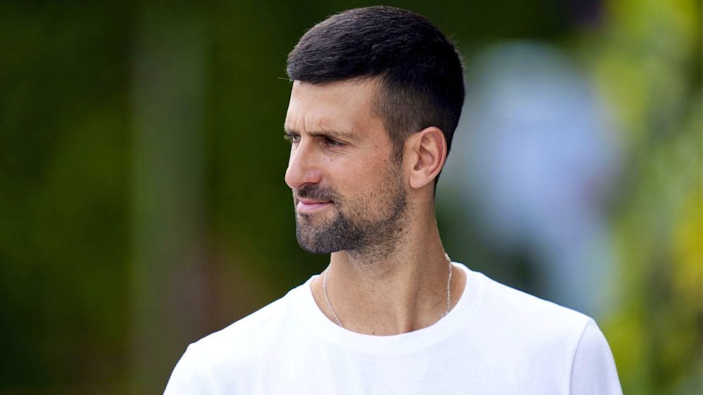 Novak Djokovic s'était incliné en finale l'année dernière à Wimbledon face à Carlos Alcaraz.